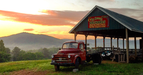 Go Apple Picking, Then Sleep In A Cabin Surrounded By Fall Foliage On This Weekend Getaway In Georgia