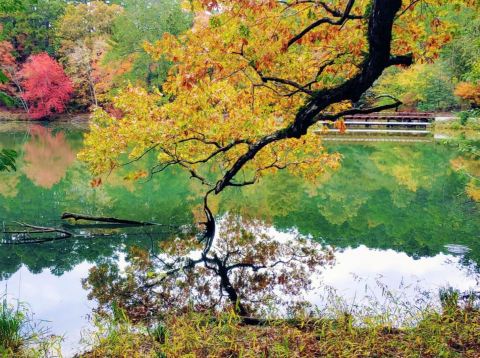 Here Are 12 Of The Most Beautiful Lakes In Arkansas, According To Our Readers