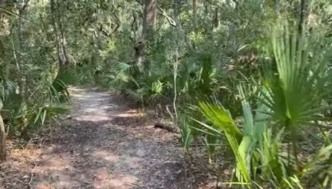 There's A Little-Known Nature Trail Just Waiting For South Carolina Explorers