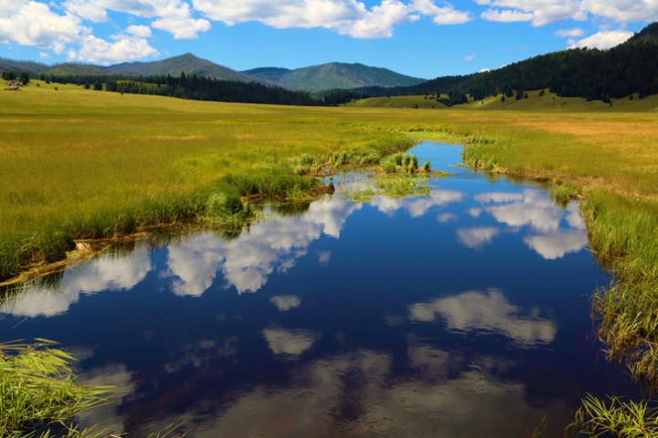 Hidden Gem Attraction Perfect for Nature Lovers in New Mexico