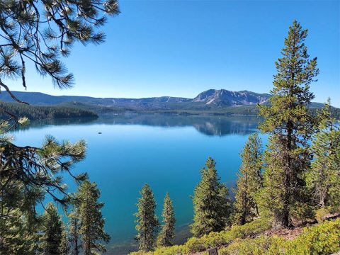 Here Are 7 Of The Most Refreshing Waterfront Trails You Can Take In Oregon