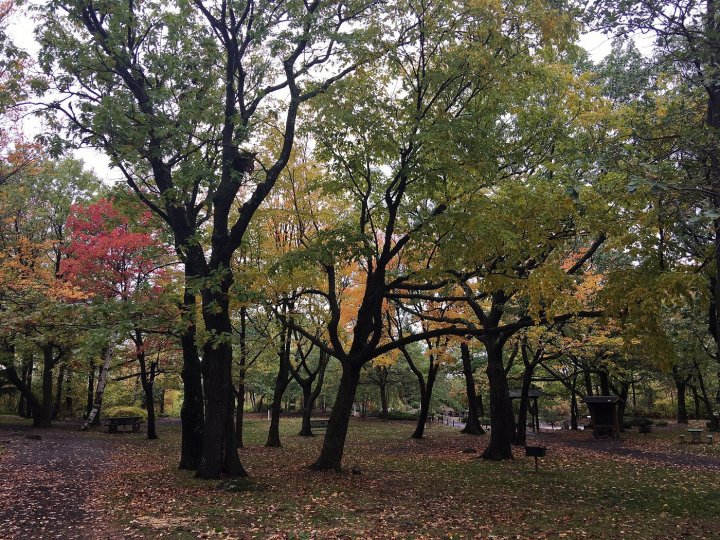 Minnesota park's dark secret is a ghost