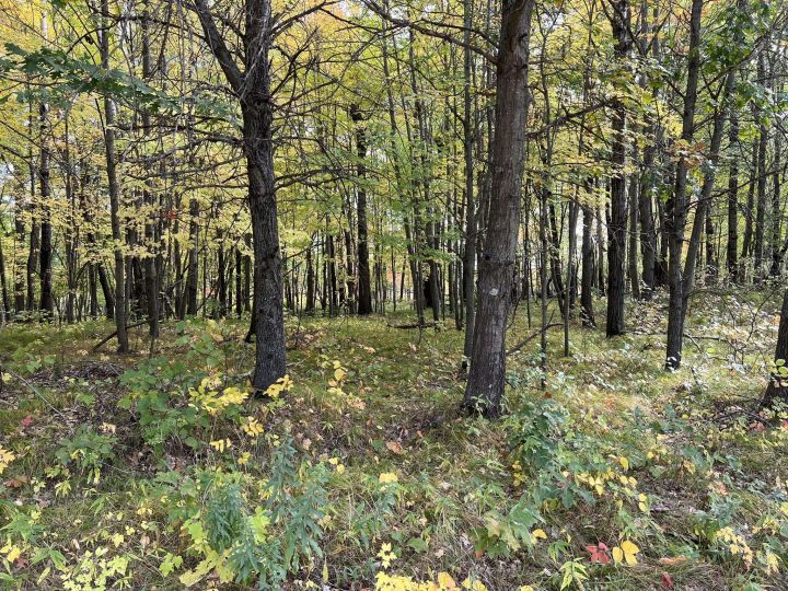 Carlos Avery WMA is a hidden gem Minnesota nature lovers will enjoy