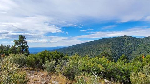 There's A Little-Known Nature Trail Just Waiting For New Mexico Explorers