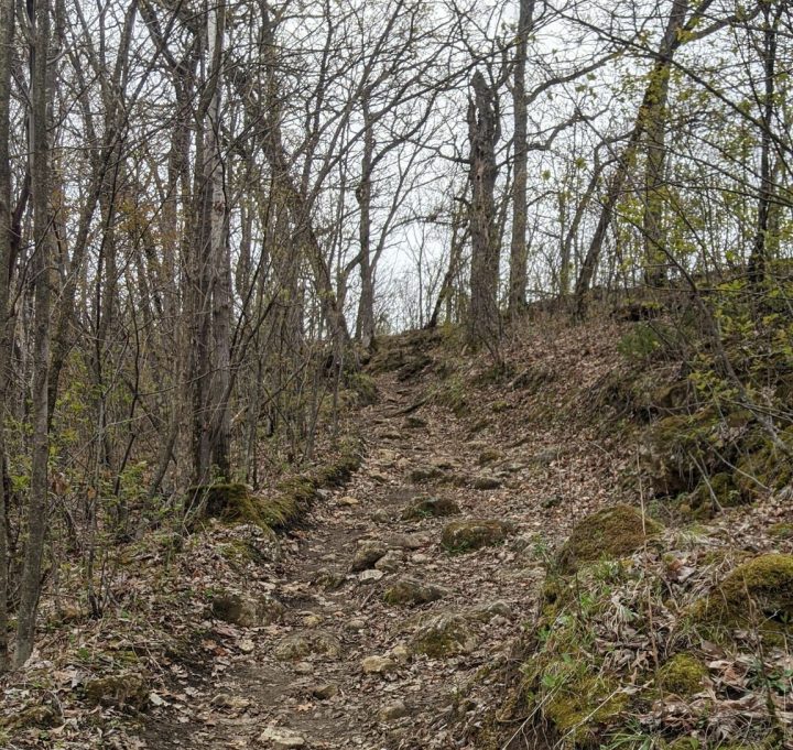 zumbro bottoms loop is an often overlooked minnesota trail