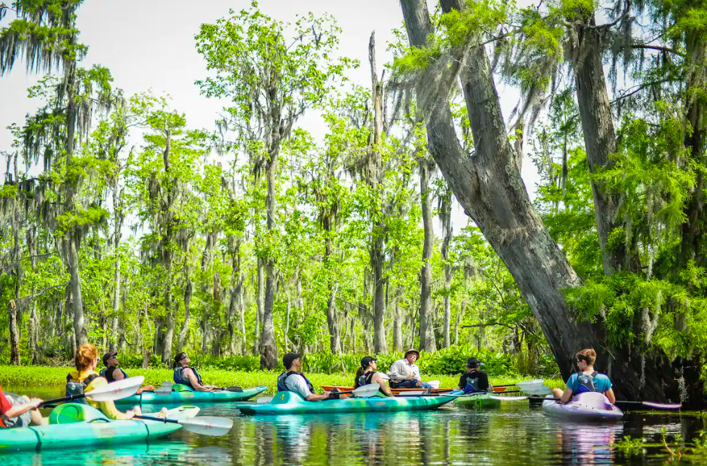 Louisiana banner image