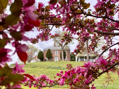 The Breathtaking Mansion In West Virginia You Must Visit This Year