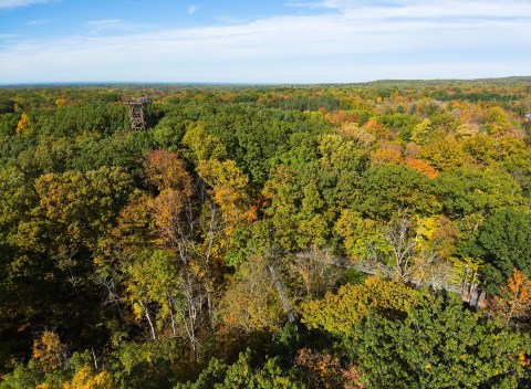 The Most Unique Canopy Walk In The U.S. Is Here In Ohio And It’s An Unforgettable Adventure