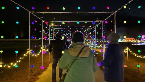 The Garden Christmas Light Displays At Reiman Gardens In Iowa Is Pure Holiday Magic