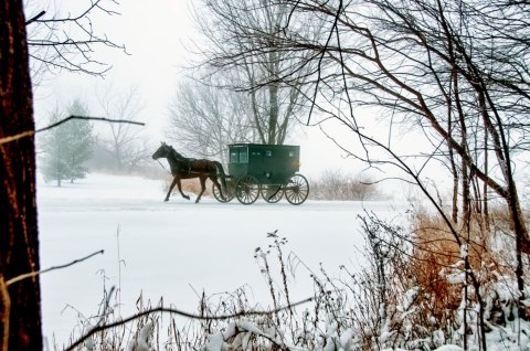 The Charming Small Town In Indiana Where You Can Still Experience An Old-Fashioned Christmas