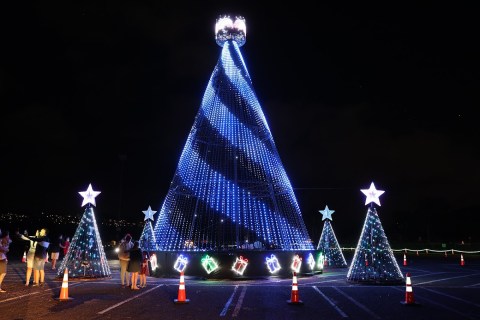 Walk Through A Winter Wonderland This Holiday Season At The Show Aloha Land In Hawaii