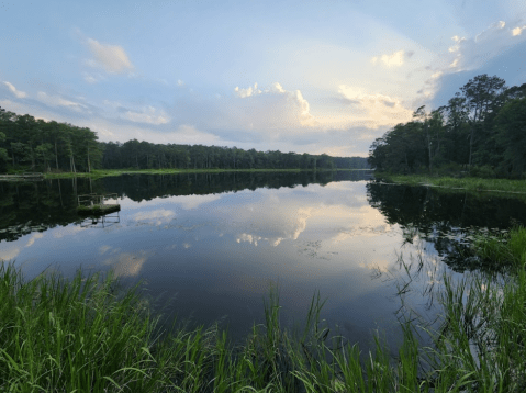 A Peaceful Escape Can Be Found At This Remote Lake In Louisiana