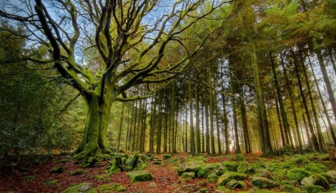 One Of The Most Beautiful State Parks In The Mid-Atlantic Is Here In Pennsylvania, And It’s An Unforgettable Adventure