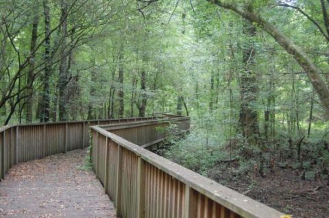 The Only National Wildlife Refuge Named For A President Is Here In Mississippi And It’s An Unforgettable Adventure