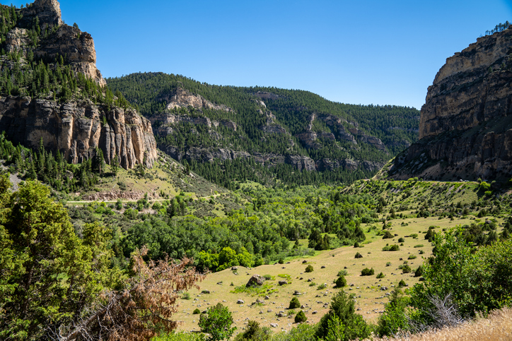 Wyoming banner image