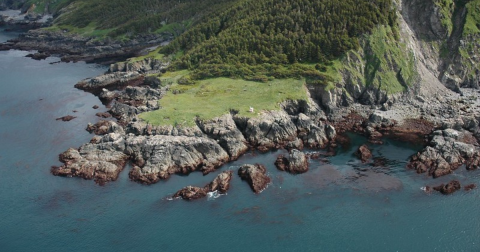 Step Inside The Creepy, Abandoned Town Of Port Chatham In Alaska