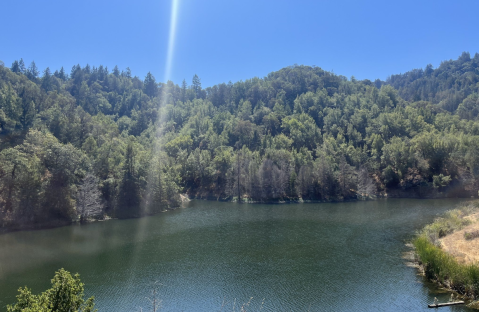 Don't Let These Stunning Views Fool You, The Gertrude Ord Trail In Northern California Is Actually An Easy Hike