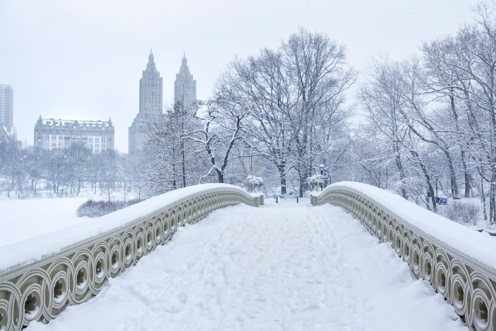 Bow bridge in Central Park, New York City. It is a cast iron bridge built between 1859-1862. It has been featured in many movies as a romantic spot. In the background are visible two famous New York apartment buildings, the Dakota and the San Remo. Falling snow visible in high resolution file.