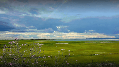 Connecticut's Only National Wildlife Refuge Is In Westbrook And It’s An Unforgettable Adventure