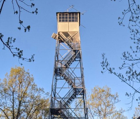 Don't Let These Stunning Views Fool You, The Fire Tower Loop in Bernheim Forest In Kentucky Is Actually An Easy Hike