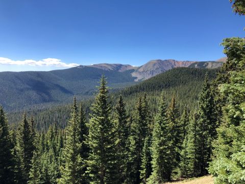 Enjoy An Unexpectedly Magical Hike On This Little-Known Forested Waterfall Trail In New Mexico