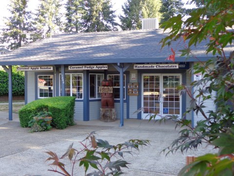 This Hilltop Country Store In Northern California Sells The Most Amazing Homemade Fudge You'll Ever Try