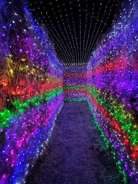 A Christmas Lights Maze Is Coming To Nampa, Idaho And It Looks As Magical As It Sounds