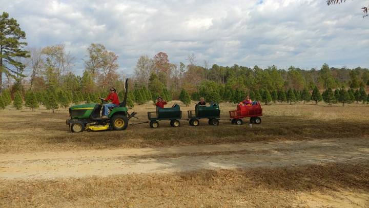 Old-Fashioned Christmas in South Carolina