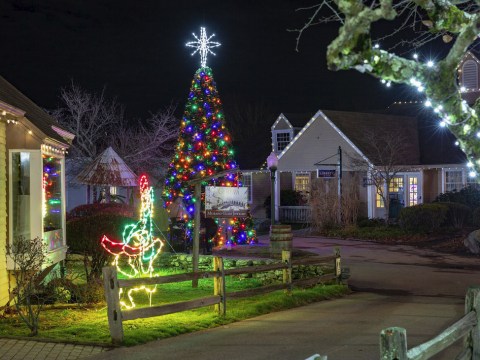 Walk Through A Winter Wonderland Of Ice This Holiday Season At The Holiday Lights Spectacular In Connecticut