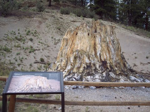 This Enchanting Town In Colorado Is Unlike Any Other In The World