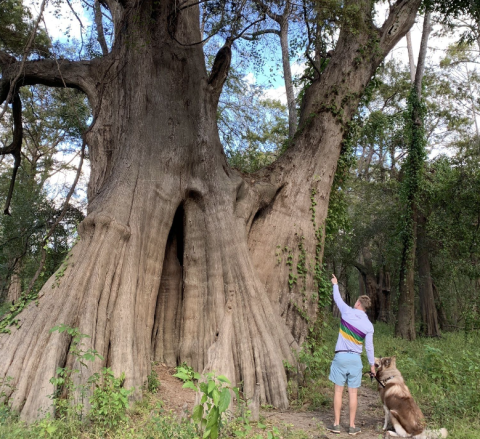 Cat Island’s Bald Cypress Trail In Louisiana Will Lead You Straight To The Largest Bald Cypress Tree In The Country