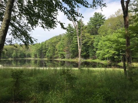 Fort Nature Blue Loop Is An Unrivaled Forest Hike In Rhode Island Everyone Should Take At Least Once