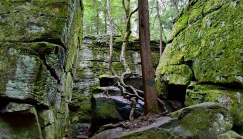 There’s No Other Landmark In Pennsylvania Quite Like These 300-Million-Year-Old Rock Formations