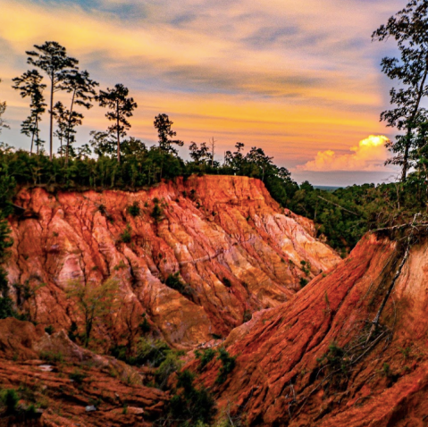 There's A Canyon In Mississippi That Looks Just Like Antelope Canyon, But Hardly Anyone Knows It Exists