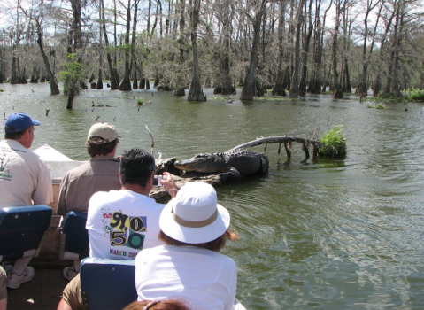 5 Louisiana Day Trips That Are Even Cooler During The Winter