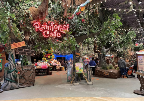 The Whole Family Will Love A Trip To The Rainforest Cafe, A Rainforest-Themed Restaurant In Michigan