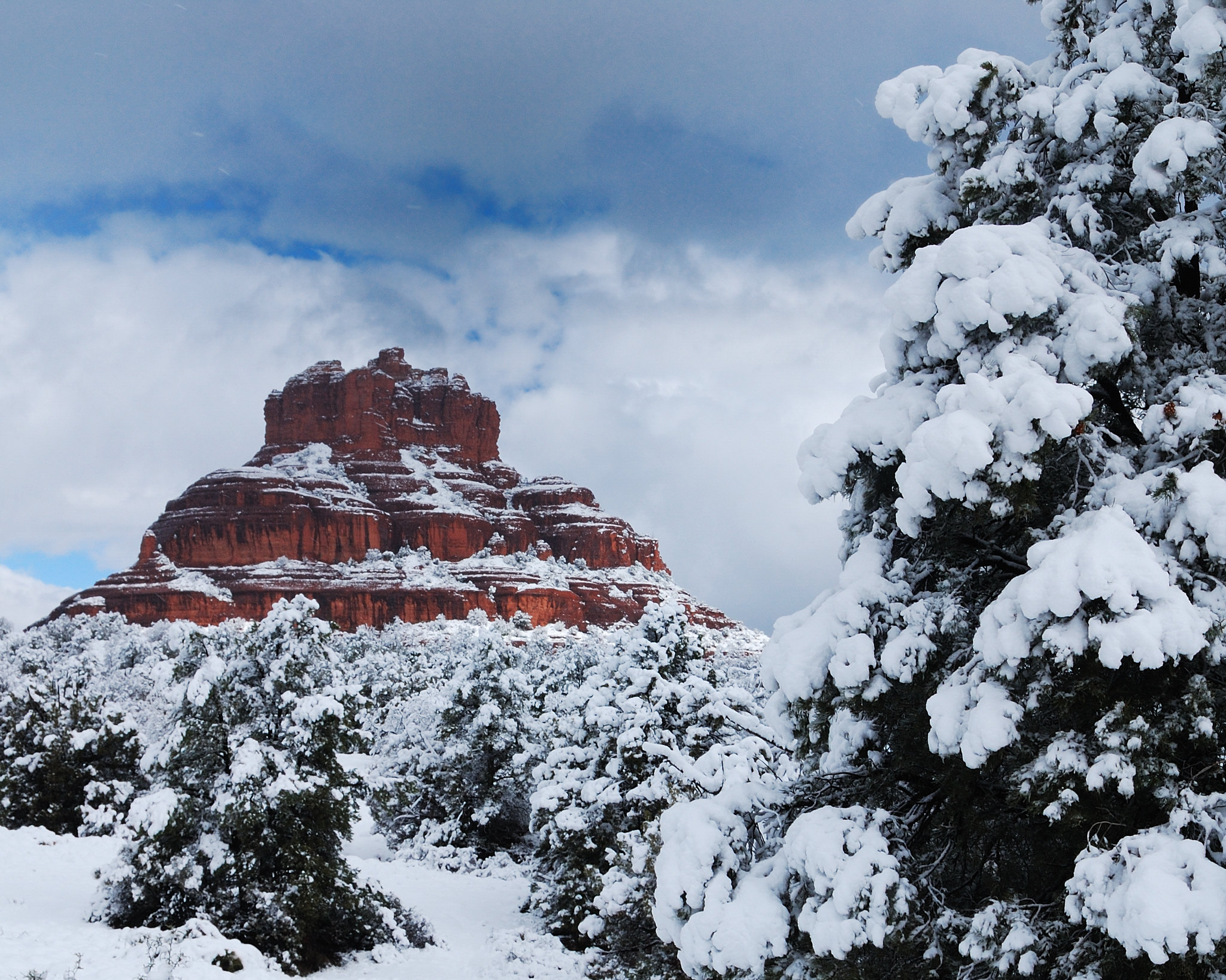 Arizona banner image