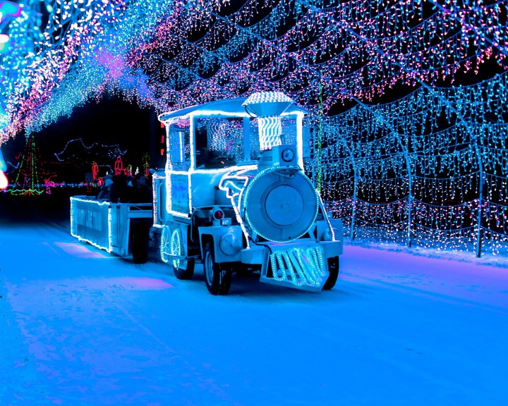 Holiday Lights Comstock Park Michigan