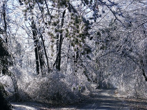 It Was So Cold In Pennsylvania In January 1994, Temperatures Hit Record Lows