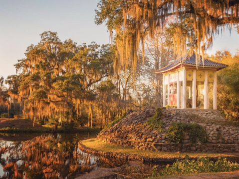 The Landscape In Louisiana’s Jungle Gardens Looks Like Something From Another Planet