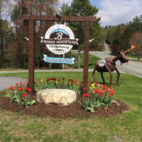 This Mountaintop Country Store In Vermont Sells The Most Amazing Homemade Truffles You'll Ever Try