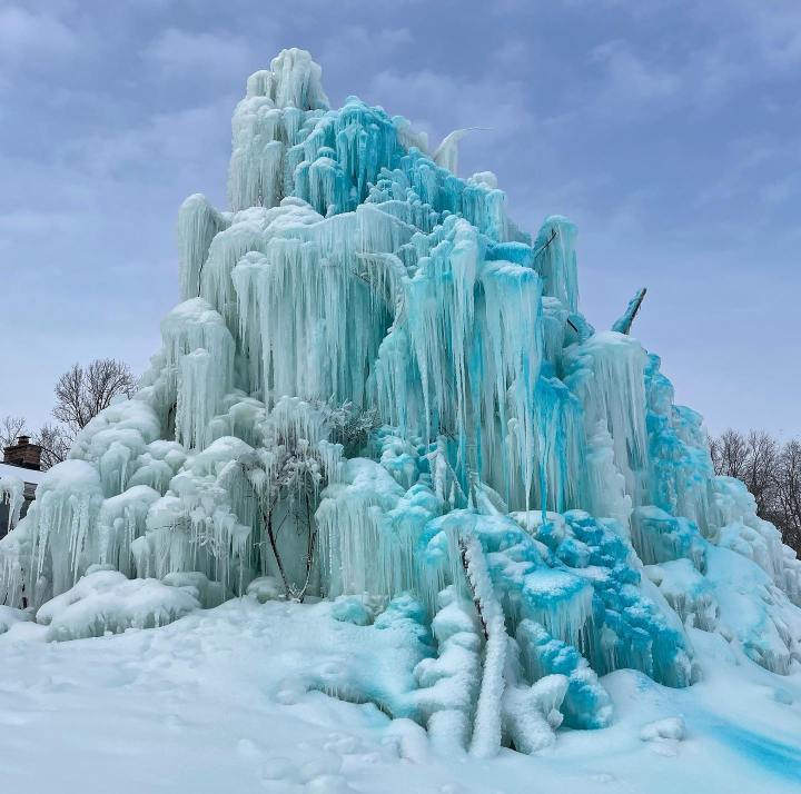 Ice Tree