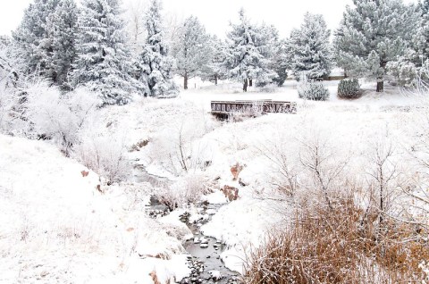 It Was So Cold In Colorado In 1951, Temperatures Stayed Below Freezing For Several Weeks