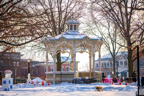 Marvel At More Than 120 LED-Lit Ice Sculptures In Ohio At The Medina Ice Festival