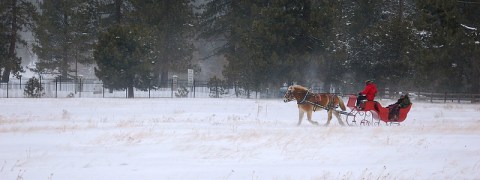 Not Many People Know One Of The Most Iconic Christmas Songs Was Written In Georgia