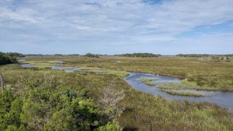 A Peaceful Escape Can Be Found At This Remote River In Florida