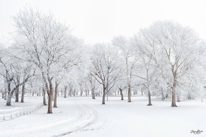 Nebraska banner image