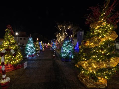 Laurel’s Beloved Prancer Path Will Be Returning To Mississippi