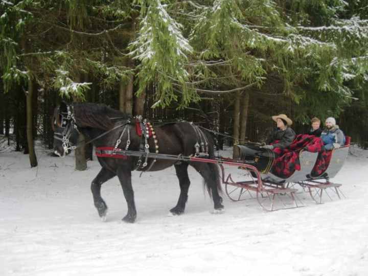 Sleigh Ride Fennville Michigan