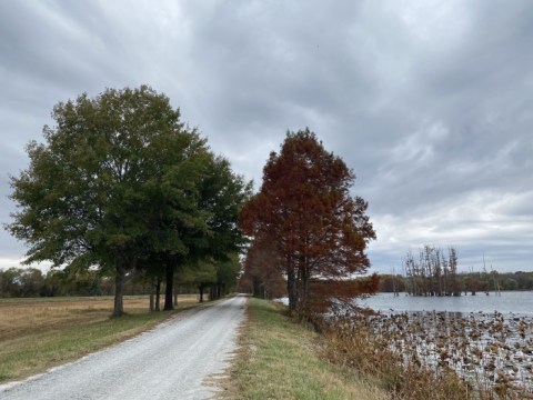 Hatchie National Wildlife Refuge Is A Little-Known refuge In Tennessee That Is Perfect For Your Next Outing